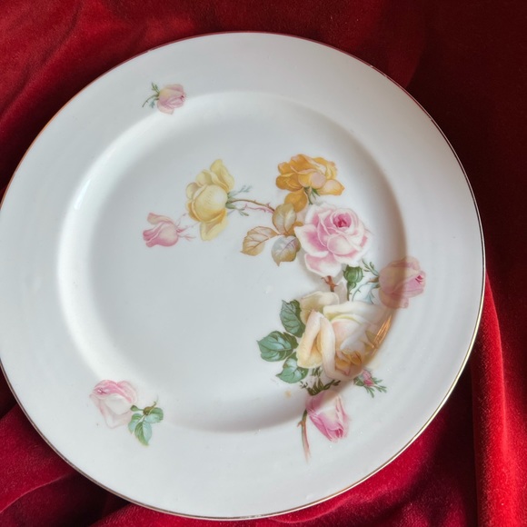 Gorgeous Vintage German Hand Painted Roses 10” Plate - Picture 1 of 7